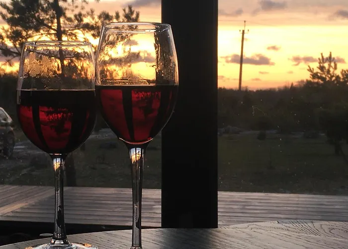 Feriehus Saunahouse *